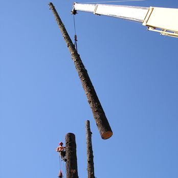 Atlas Crane Gilroy - Tree Services Near Me - Watsonville, California Atlas Crane Gilroy - Tree Services Near Me - Watsonville, California