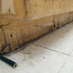 Gulf Coast Center for Indoor Air Quality Services - Found this after the water damage techs left. They didn't dry underneath the cabinets, which led to this water & mold damage.