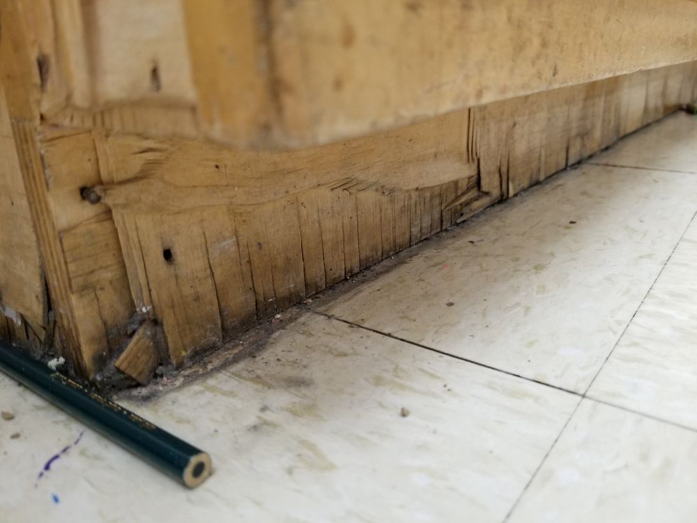 Gulf Coast Center for Indoor Air Quality Services - mold inspector in Tallahassee, FL