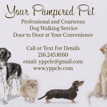 Your Pampered Pet - Dog Walkers Near Me Your Pampered Pet - Dog Walkers Near Me