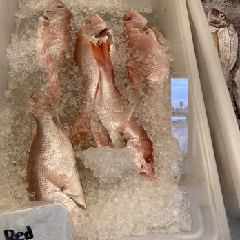 Penn Jersey Seafood - three fish in a tub of ice - Seafood Near Me - Pennsauken, New Jersey Penn Jersey Seafood - three fish in a tub of ice - Seafood Near Me - Pennsauken, New Jersey