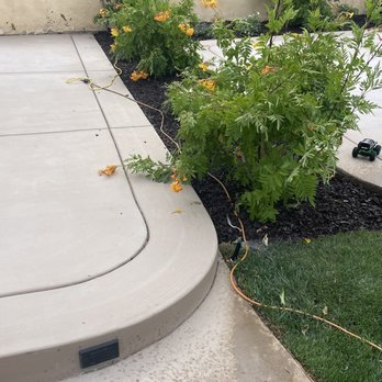 JC & Sons Landscaping - Getting the plants - Landscaping Near Me