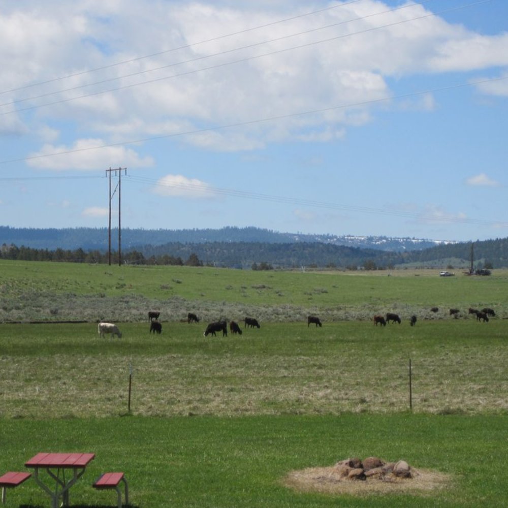 Junipers Reservoir Rv Resort - Campgrounds Near Me - Lakeview, Oregon Junipers Reservoir Rv Resort - Campgrounds Near Me - Lakeview, Oregon