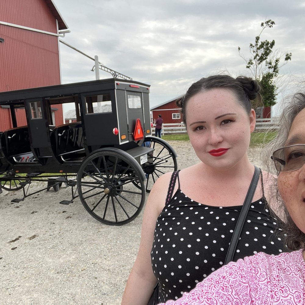 Buggy Lane Tours - At the Amish farm tour. Wonderful experience! - Tours Near Me - Shipshewana, Indiana Buggy Lane Tours - At the Amish farm tour. Wonderful experience! - Tours Near Me - Shipshewana, Indiana
