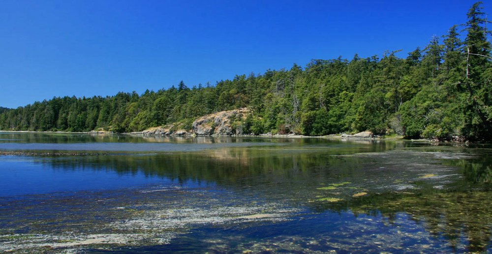 BVD LAW CORP Updated September 2024 450 Vancouver Street, Prince