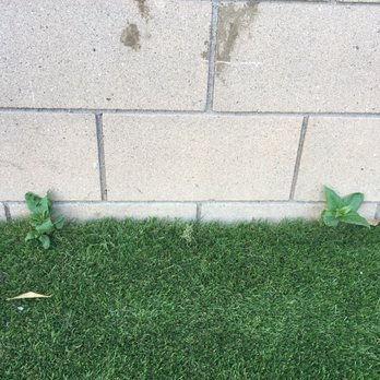 All American Turf Pro's - Landscaping Near Me