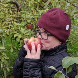 Buchan's Blueberry Hill - The most delicious courtland apples in Michigan...my 9 year old highly recommends!