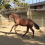 Photo of C & K Horse Ranch