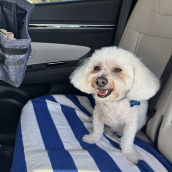 Wagging Tails Pet Resort - Pet Sitting Near Me - Tempe, Arizona Wagging Tails Pet Resort - Pet Sitting Near Me - Tempe, Arizona