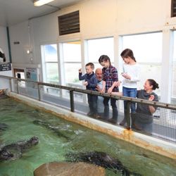 Seaside Aquarium