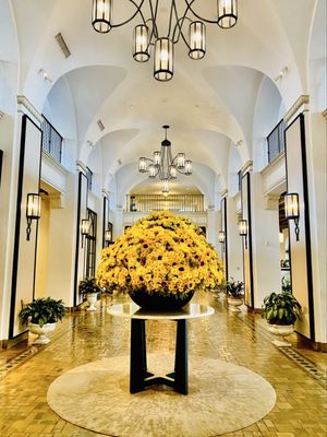 The Vinoy Resort & Golf Club, Autograph Collection by null