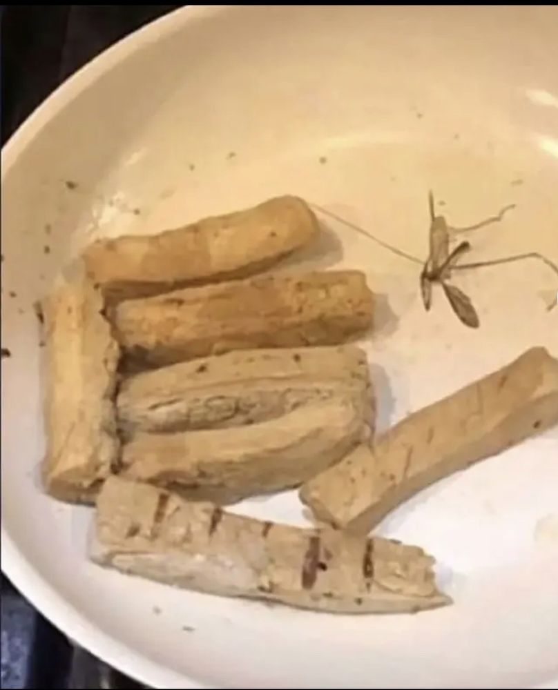 HONG KONG Updated September 2024 930 E Ave, Pennington Gap