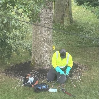 Bartlett Tree Experts - Ash borer tree treatment /prep - Tree Services Near Me - West Falls, New York