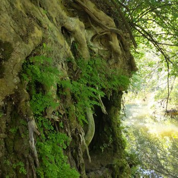 Lakeside Park - The Amazon?Congo?Borneo?Dallas! - Parks Near Me - Dallas, Texas Lakeside Park - The Amazon?Congo?Borneo?Dallas! - Parks Near Me - Dallas, Texas