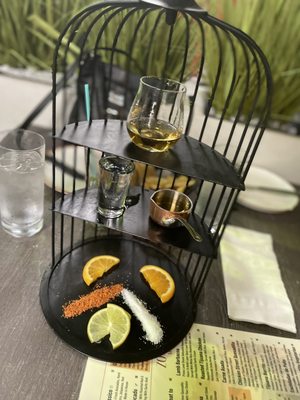 Little Tijuana by null