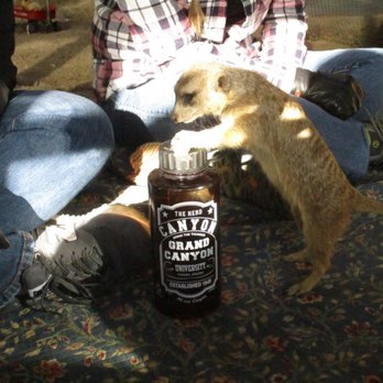 Fellow Earthlings Wildlife Center - Trying to figure out my water bottle - Parks Near Me - Morongo Valley, California