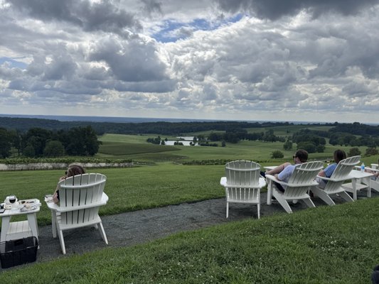 Trump Winery by null