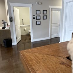 Butler Animal Clinic