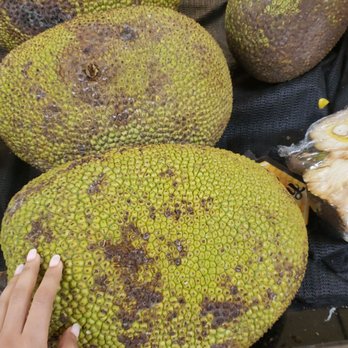 Mango Tree Supermarket - Jackfruit - International Grocery Near Me - West Palm Beach, Florida