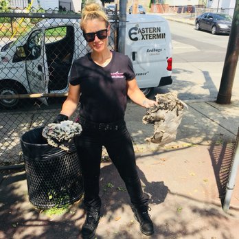 The ExtHERminator - The wasps never stood a chance! - Pest Control Near Me The ExtHERminator - The wasps never stood a chance! - Pest Control Near Me