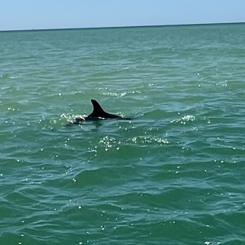 Island Ferry St Pete Beach - Rafting/Kayaking Near Me - Tierra Verde, Florida