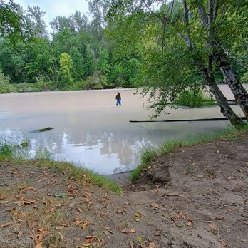 Riverbend Campground - View from our campfire!!! - Campgrounds Near Me - Olympia, Washington