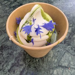 matcha affogato matcha affogato