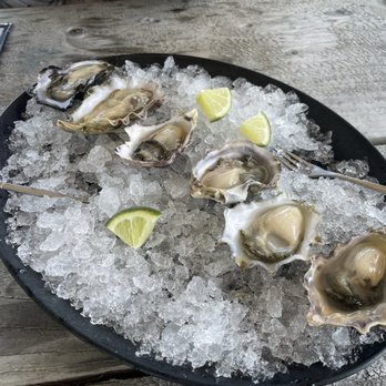 Jandy Oyster - Oysters on the half shell - Seafood Markets Near Me - Tillamook, Oregon