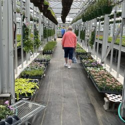 Two Seasons Greenhouse - Inside Greenhouse #5