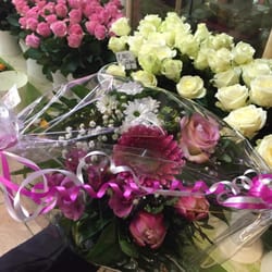 Orchidee Blumen