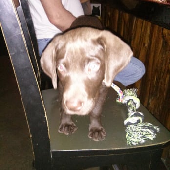 The Watering Hole Saloon - Dog friendly! - Sports Bars Near Me - New Braunfels, Texas The Watering Hole Saloon - Dog friendly! - Sports Bars Near Me - New Braunfels, Texas