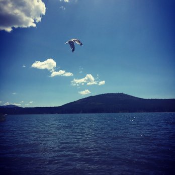 Boca Reservoir - Fly birdie fly - Campgrounds Near Me - Truckee, California