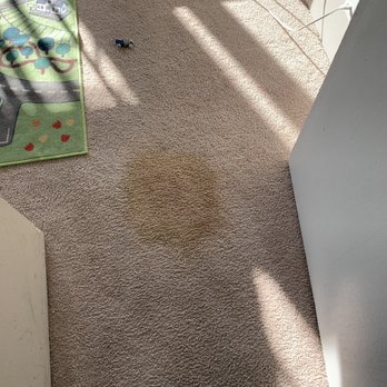 Anderson Certified Cleaning Technicians - After your clean - Carpet Cleaning Near Me - Chicago, Illinois Anderson Certified Cleaning Technicians - After your clean - Carpet Cleaning Near Me - Chicago, Illinois
