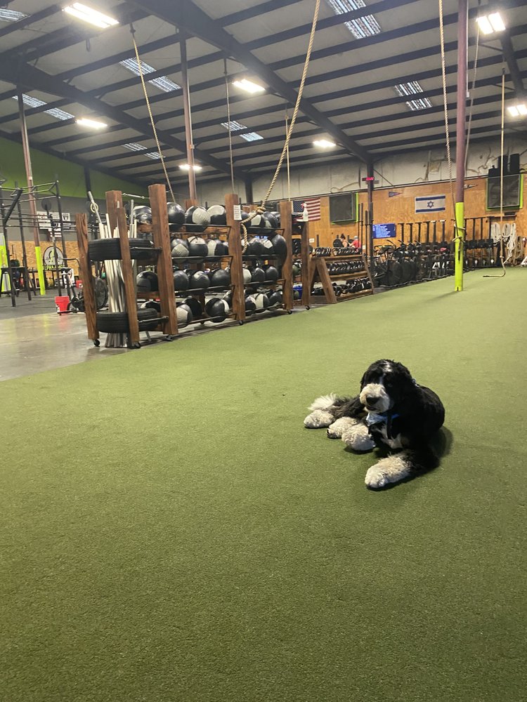 ALPHA OMEGA SPORTS PERFORMANCE 15 Reviews 490 E Heinberg St