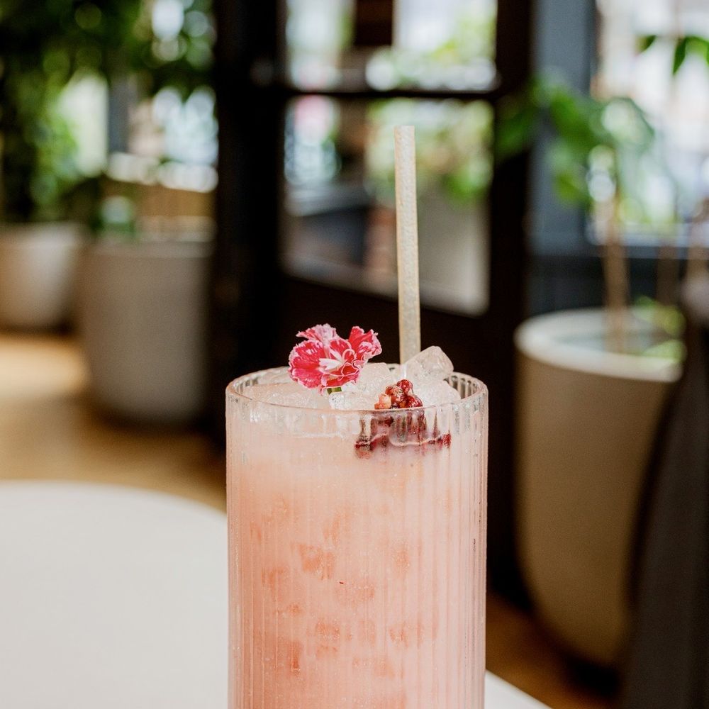 kann - Mai Taino - Caribbean Near Me - Portland, Oregon