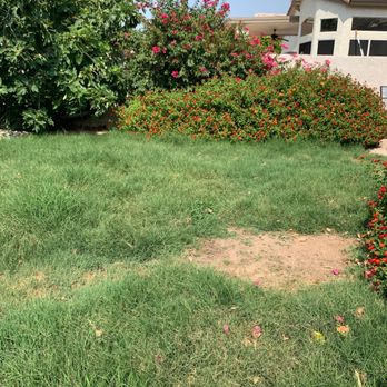 Keyrenter Premier Property Management - During the time of no landscaper. - Property Management Near Me - Scottsdale, Arizona