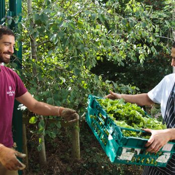 Overends Kitchen - Farm to fork organic veg - Coffee & Tea Near Me - Dundrum, D