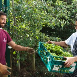 Overends Kitchen - Farm to fork organic veg