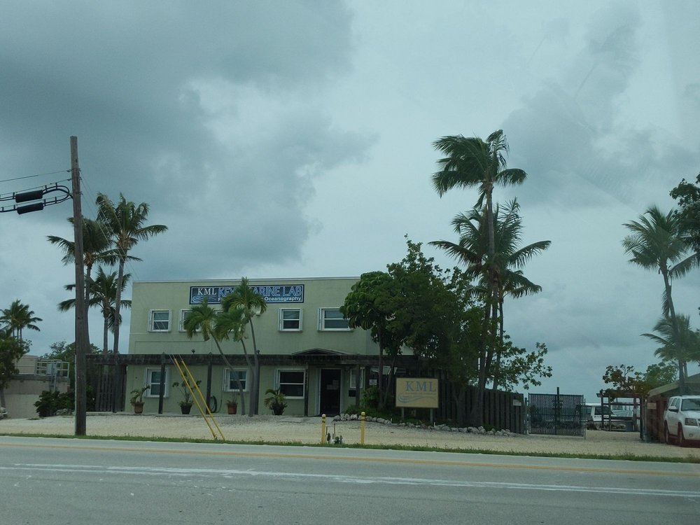KEYS MARINE LABORATORY Updated June 2024 68486 Overseas Highway, Long Key, Florida