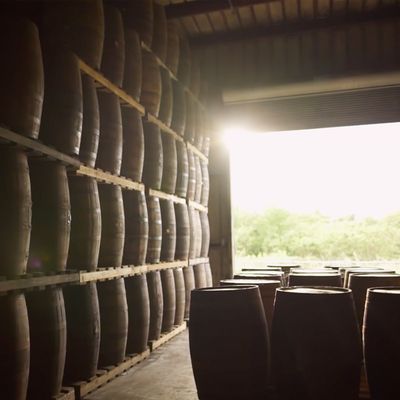 Cruzan Rum Distillery by null