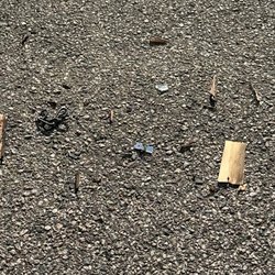 After cleaning, this was found under car