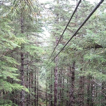Alaska Canopy Adventures - Ziplining Near Me - Juneau, Alaska