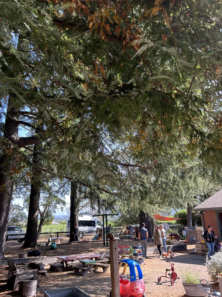 Childkind Preschool - childcare center in Santa Rosa, CA