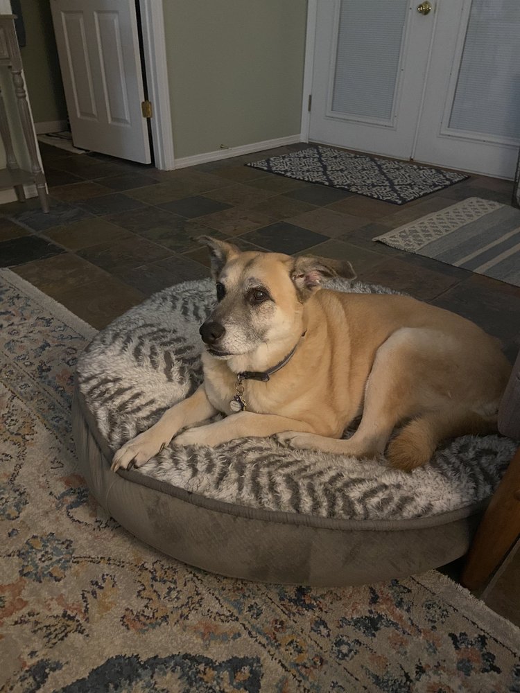 THE SMALL ANIMAL CLINIC Updated August 2024 11 Photos & 10 Reviews