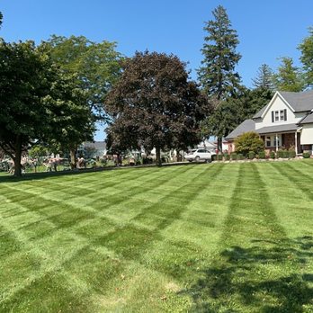 Dombrowski Lawn Care - Lawn Services Near Me Dombrowski Lawn Care - Lawn Services Near Me