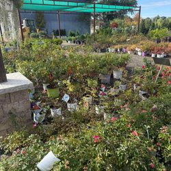 Wendland Landscape Services