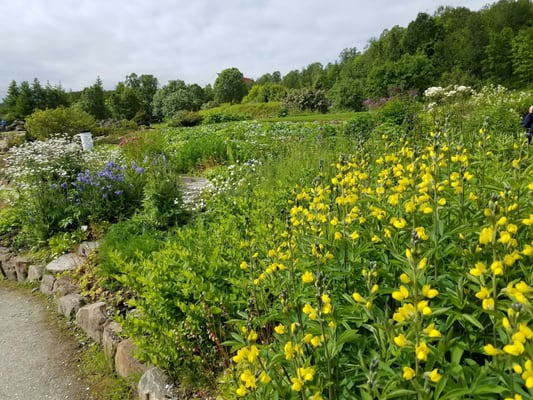Arctic–Alpine Botanic Garden by null