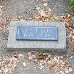 Amy J Blue Memorial Garden
