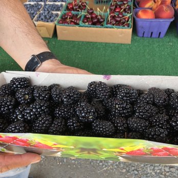 Watmaugh Strawberries - big blackberries - some sweet, some tart, mostly all good! - Fruits & Veggies Near Me - Sonoma, California Watmaugh Strawberries - big blackberries - some sweet, some tart, mostly all good! - Fruits & Veggies Near Me - Sonoma, California