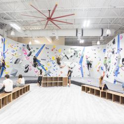 Central Rock Gym - Citrus Park